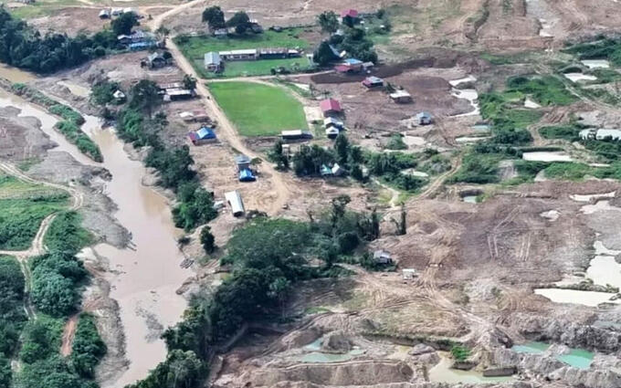 Pampas Verdes (2025)