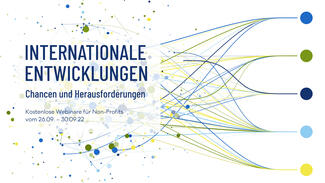 Internationales Engagement von NPOs aus Deutschland (Visual)