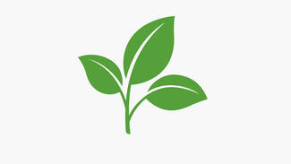 Nature-based Therapies (Visual)