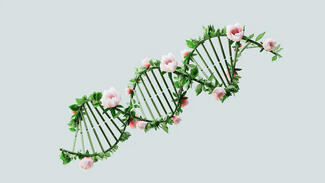 DNA (Symbolbild) (Bild: Google DeepMind)