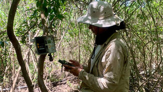 Ausrottungskampagne auf der Galapagos-Insel Floreana
