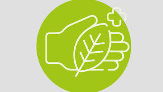 Waldbaden in der Natur (Visual) (Bild: Karl und Veronica Carstens-Stiftung)