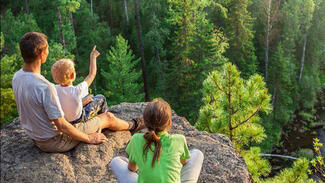 DSZ-Jahresbericht 2023/2024 (Cover) (Foto: iStock/tolstnev)