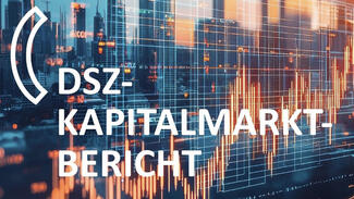 DSZ-Kapitalmarktbericht 2025