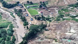 Pampas Verdes (2025)