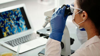 Medizinische Forschung (Symbolbild) (Foto: Edward Jenner/Pexels)