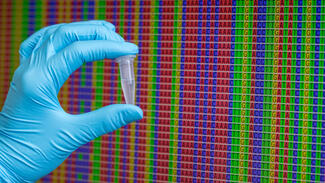 Forschungsgeist (Symbolbild) (Foto: Till Macher)