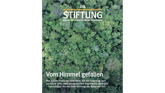 "Die Stiftung" (Cover)