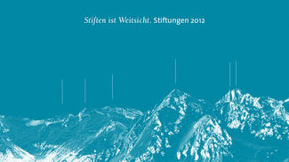 DSZ-Tätigkeitsbericht 2012 (Cover)