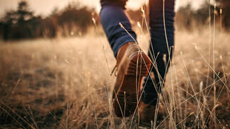 DSZ-Nachhaltigkeitsbericht 2019 (Foto: iStock/eclipse_images)