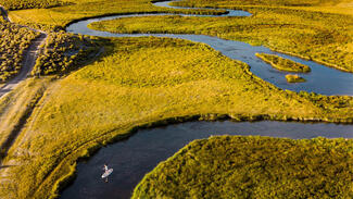 DSZ-Nachhaltigkeitsbericht 2020 (Foto: Jeremy Bishop/Pexels)