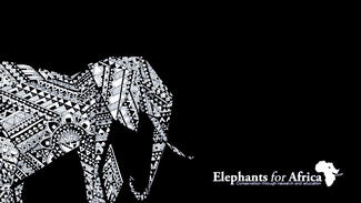 Elephants for Africa (Logo)