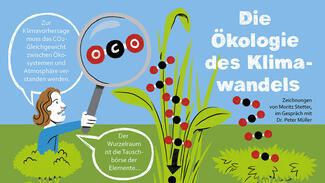 Comic zum Klimawandel