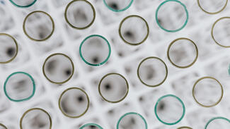 Labor (Foto: Karolina Grabowska/Pexels)