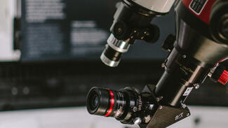 Mikroskop (Symbolfoto) (Foto: Max Flintermann/Pexels)