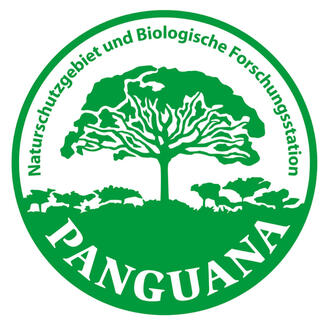 Panguana (Logo)