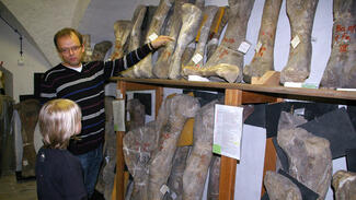 Finn und sein Mentor Dr. Florian Witzmann vom Museum für Naturkunde Berlin (Foto: Sven Fiebig)