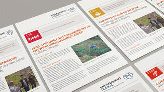 Factsheets zum Thema Stiftungen und Nachhaltigkeit