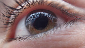 Optik (Symbolbild) (Foto: Pixabay)