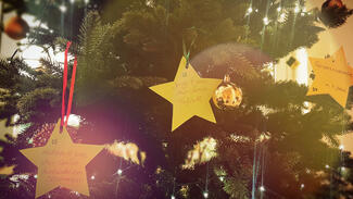 Wunschbaumaktion (Foto: Tobias Roth)