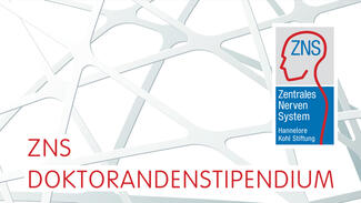 ZNS - Hannelore Kohl Stiftung: Visual zum Doktorandenstipendium